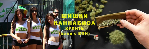 амф Богородицк