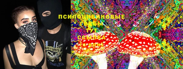 мяу мяу кристалл Богданович