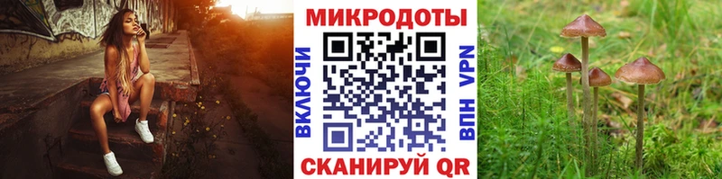 Псилоцибиновые грибы Cubensis  hydra ONION  Бородино 