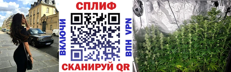Каннабис SATIVA & INDICA  Бородино 